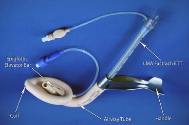 The Fastrach TM Intubating Laryngeal Mask Airway®: an overview and update |  SpringerLink