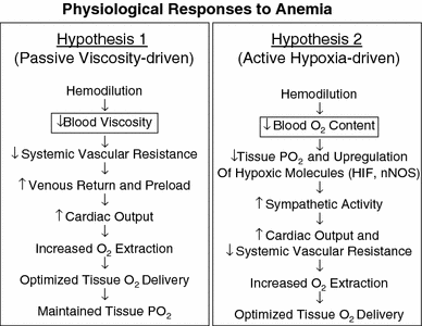 Reassessing The Risk Of Hemodilutional Anemia Some New Pieces To An Old Puzzle Springerlink