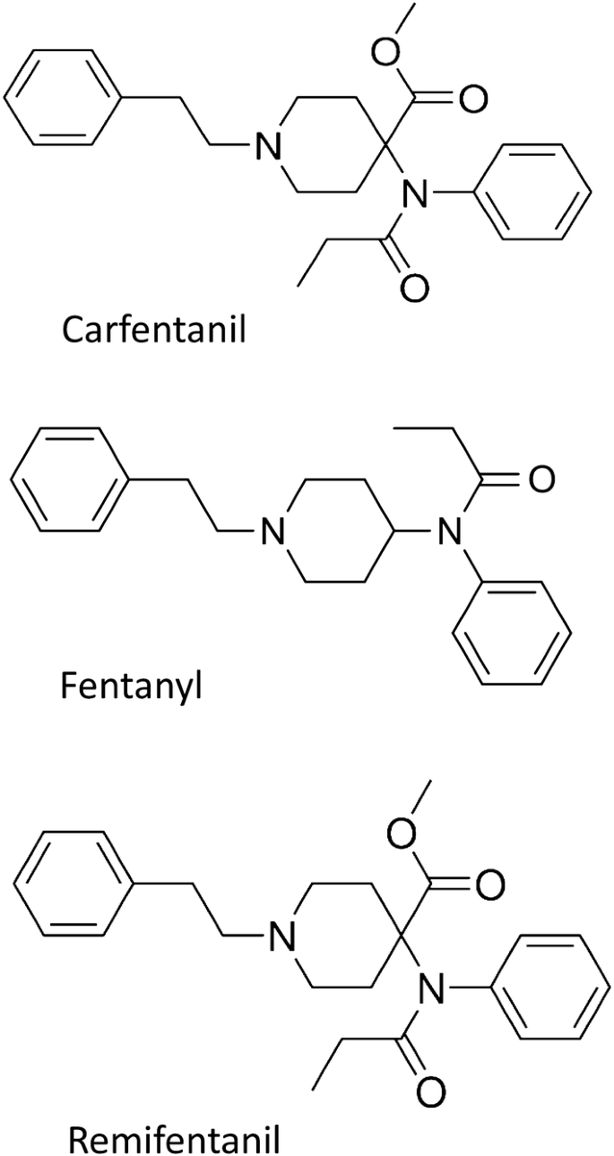 Carfentanil A Narrative Review Of Its Pharmacology And Public Health Concerns Springerlink