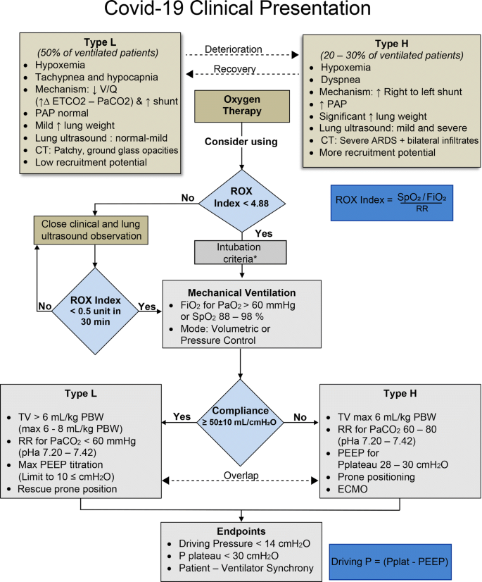 A Proposed Lung Ultrasound And Phenotypic Algorithm For The Care Of Covid 19 Patients With Acute Respiratory Failure Springerlink