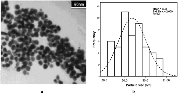 Assessment Of Spiramycin Loaded Chitosan Nanoparticles Treatment On Acute And Chronic Toxoplasmosis In Mice Springerlink