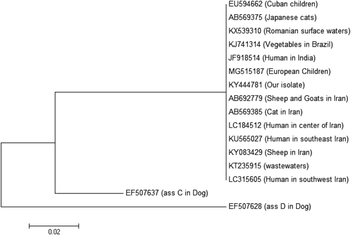 giardia symptoms nz