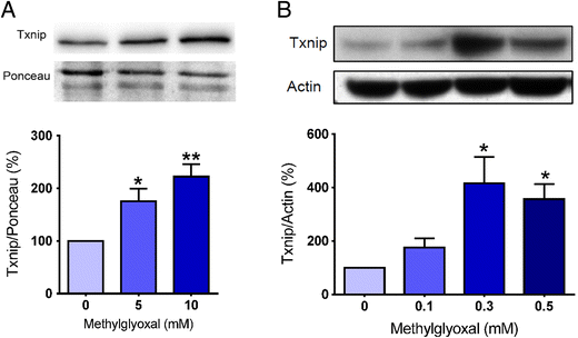 methylglyoxal glutathione reductase Methylglyoxal-Induced Protection Response and Toxicity: Role of and Thioredoxin Systems | Neurotoxicity Research best serum for dull skin