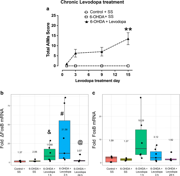 Differential Expression of Striatal ΔFosB mRNA and FosB mRNA After  Different Levodopa Treatment Regimens in a Rat Model of Parkinson's Disease  | SpringerLink