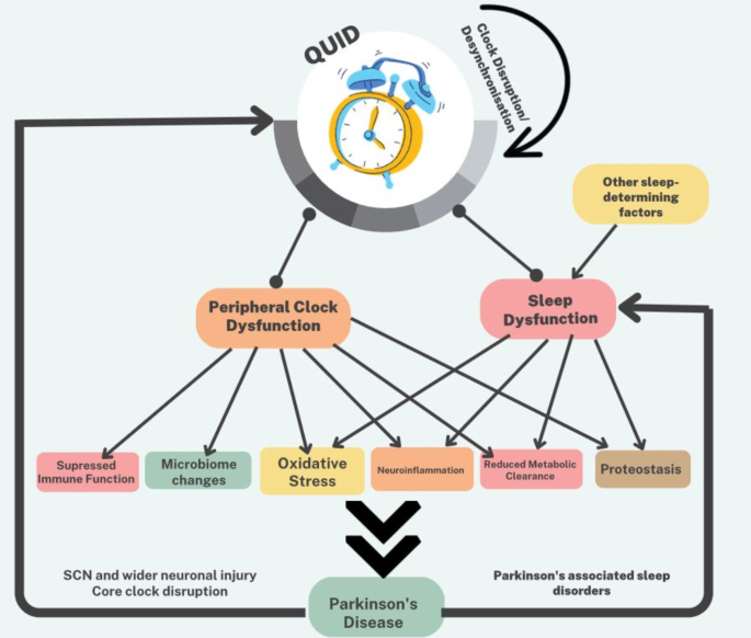 Blunted Melatonin Circadian Rhythm in Parkinson's Disease: Express  Bewilderment | Neurotoxicity Research | Springer Nature Link