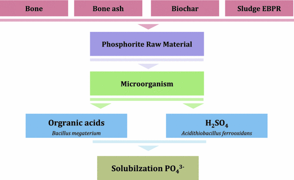 Fertilizer Trace Elements Helatine Phosphorus Potassium/ 50 g