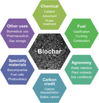 Biochar as an Exceptional Bioresource for Energy, Agronomy, Carbon ...