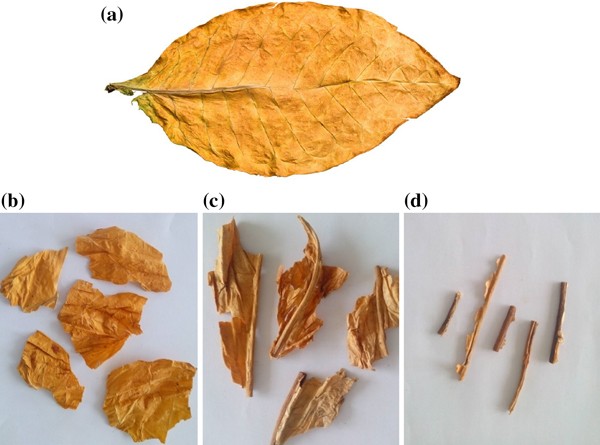 lamina tobacco Online Detection in the Separation Process of Tobacco Leaf Stems as Biomass  Byproducts Based on Low Energy X-Ray Imaging | Waste and Biomass  Valorization
