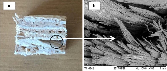 Osb Panels With Balsa Wood Waste And Castor Oil Polyurethane Resin Springerlink