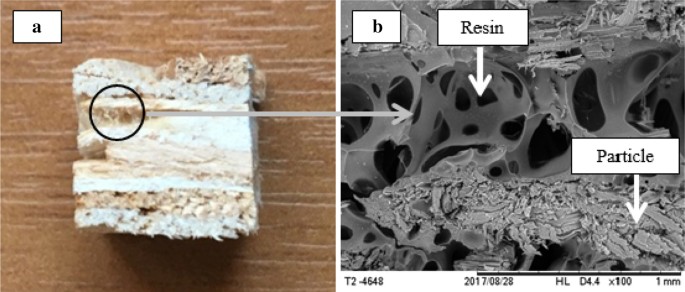 Osb Panels With Balsa Wood Waste And Castor Oil Polyurethane Resin Springerlink