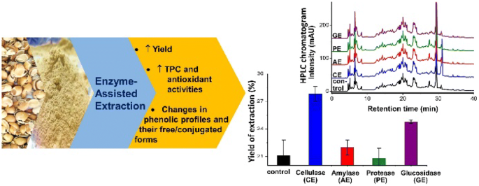 Improvement of Phenolic Contents and Antioxidant Activities of 