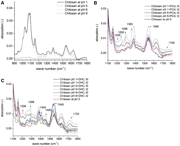 Investigation Of C N Formation Between Catechols And Chitosan For The Formation Of A Strong Novel Adhesive Mimicking Mussel Adhesion Springerlink