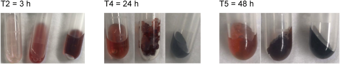 Investigation Of C N Formation Between Catechols And Chitosan For The Formation Of A Strong Novel Adhesive Mimicking Mussel Adhesion Springerlink