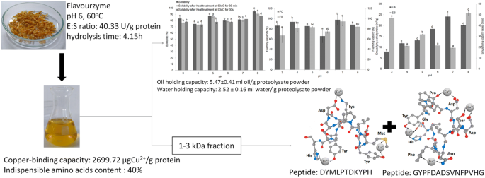 Identification Of Copper Binding Peptides And Investigation Of Functional Properties Of Acetes Japonicus Proteolysate Springerlink