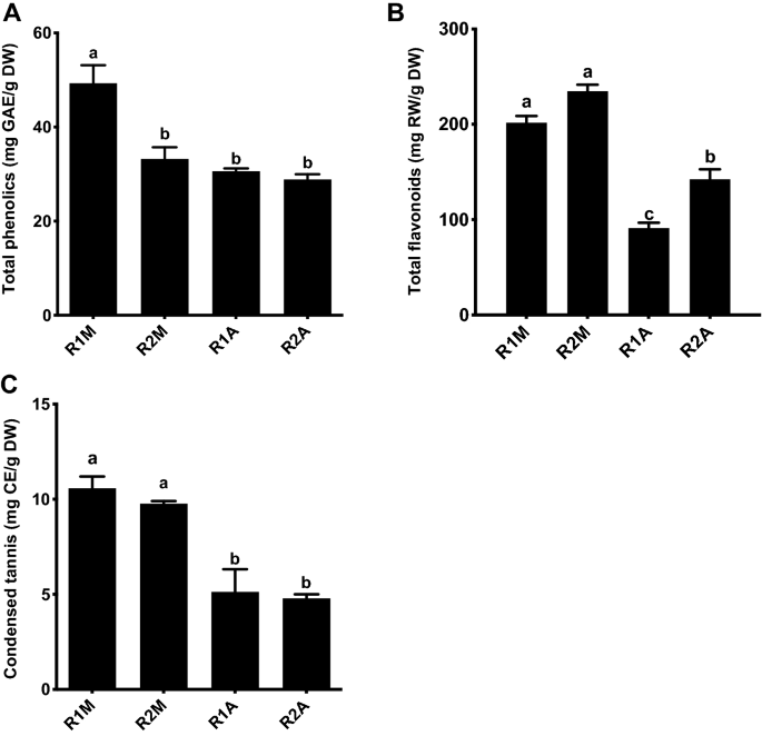 Valorization Of Mexican Ricinus Communis L Leaves As A Source Of Minerals And Antioxidant Compounds Springerlink