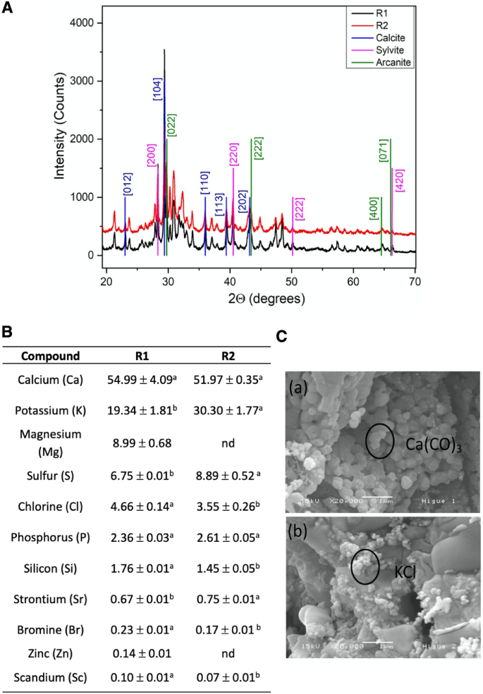 Valorization Of Mexican Ricinus Communis L Leaves As A Source Of Minerals And Antioxidant Compounds Springerlink