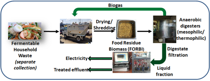 Exploitation of Digestate from Thermophilic and Mesophilic Anaerobic  Digesters Fed with Fermentable Food Waste Using the MFC Technology |  SpringerLink
