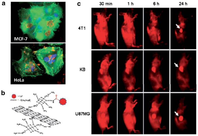 figure 44