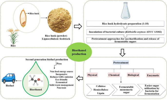 Rice Husk: A Potent Lignocellulosic Biomass for Second Generation Bioethanol  Production from Klebsiella oxytoca ATCC 13182 | SpringerLink