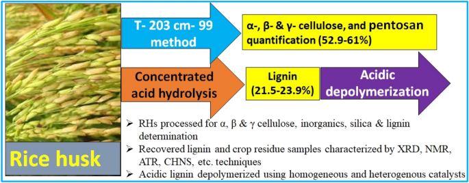 Alpha-, Beta- and Gamma-Cellulose Quantification and Two-Stage Concentrated-Dilute Acid Lignin Recovery from Three Rice Husks: Lignin Characterization and Depolymerization | SpringerLink Alpha-, Beta- and Gamma-Cellulose Quantification and Two-Stage Concentrated-Dilute Acid Lignin Recovery from Three Rice Husks: Lignin Characterization and Depolymerization | SpringerLink