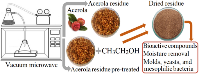 Vacuum Microwave Drying Of Acerola Residue: Effects Of Pre.