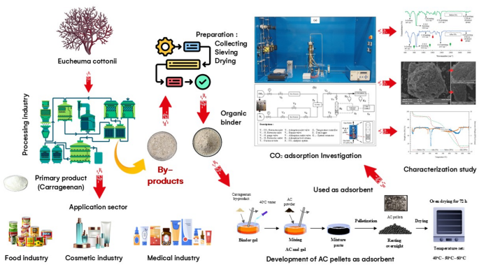 Valorization of Seaweed Industrial By-Product as a Binder for ...