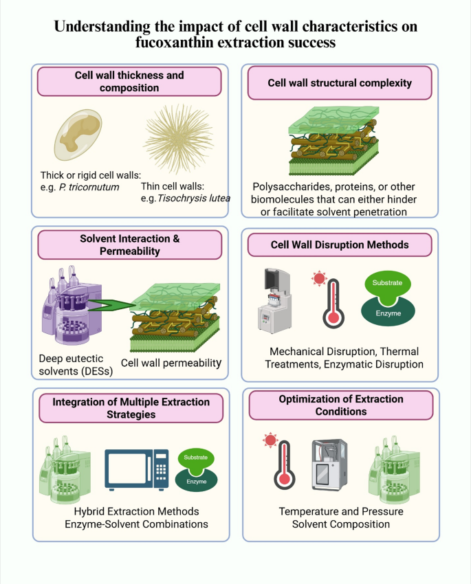 Cell Wall Disintegration in Microalgae: Implications for Efficient ...