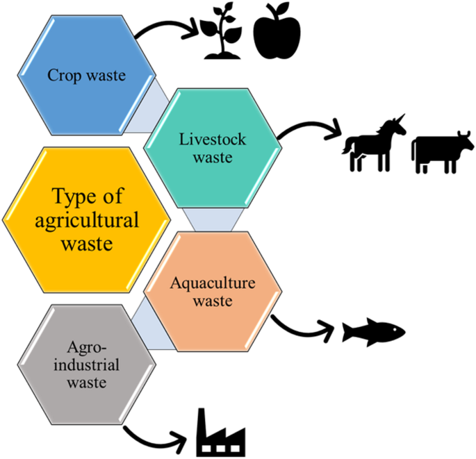 Farm Waste Examples Utilizing High-Nutrient Agricultural Biomass as an Alternative Poultry ...