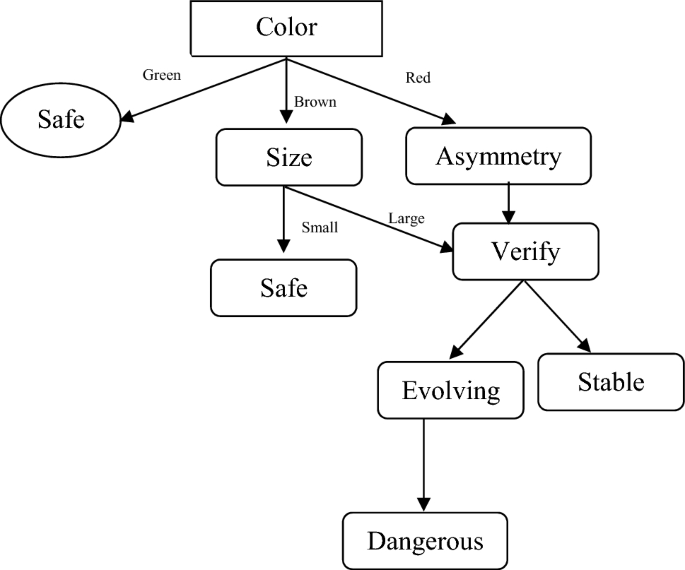 skin lesion classification using decision trees and random forest algorithms springerlink