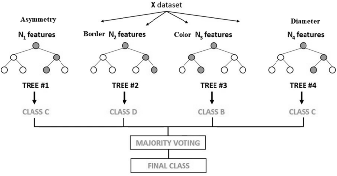 skin lesion classification using decision trees and random forest algorithms springerlink