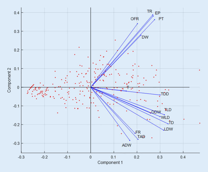 Frontiers  Possession Zone as a Performance Indicator in Football