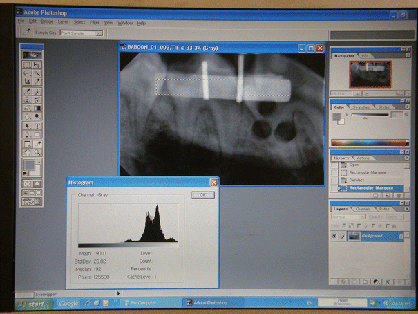 Ozone Treatment Of Alveolar Bone In The Cape Chacma Baboon Does Not Enhance Healing Following Trauma Springerlink