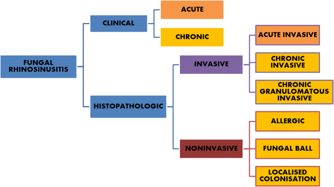 Fungal Rhinosinusitis Unravelling The Disease Spectrum Springerlink Fungal Rhinosinusitis Unravelling The Disease Spectrum Springerlink