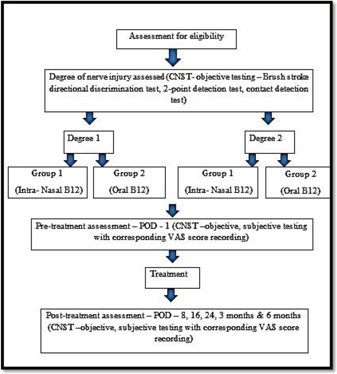 nasal b12 vs injection Oral Vitamin B12 Versus Intra-Nasal Vitamin B12 in Transient Neurosensory  Disturbances Following Third Molar Surgery: A Prospective Cohort Study |  Journal of Maxillofacial and Oral Surgery