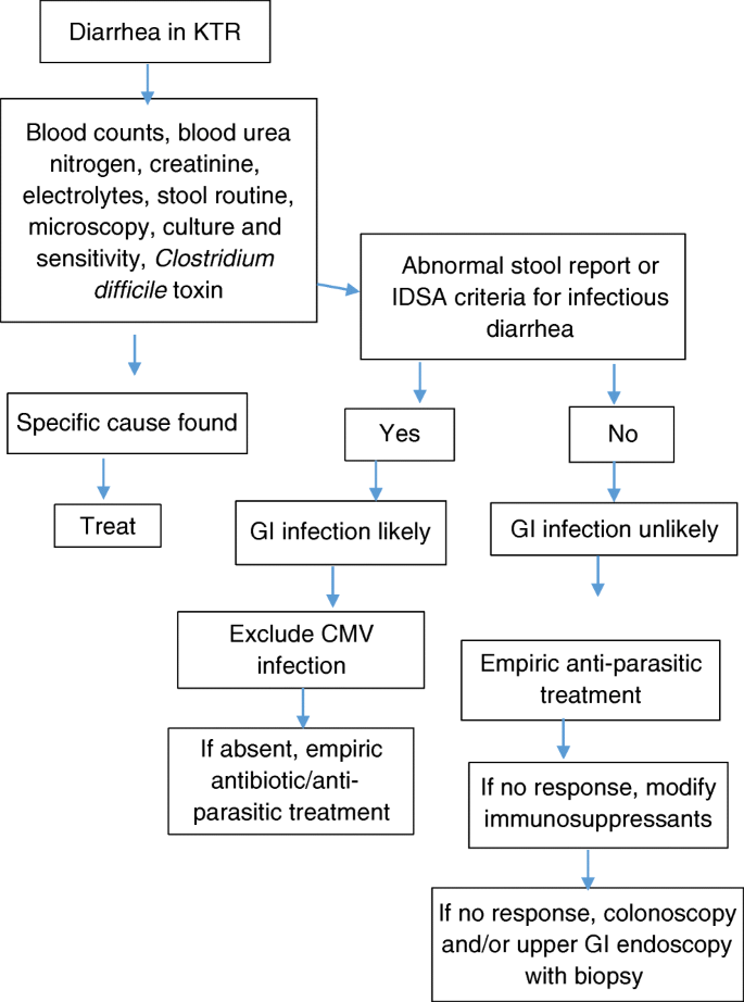 Diarrhea In Kidney Transplant Recipients Etiology And Outcome Springerlink