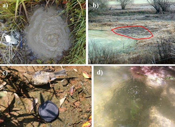 Screenshot illustrativo dell'interfaccia StarVegas