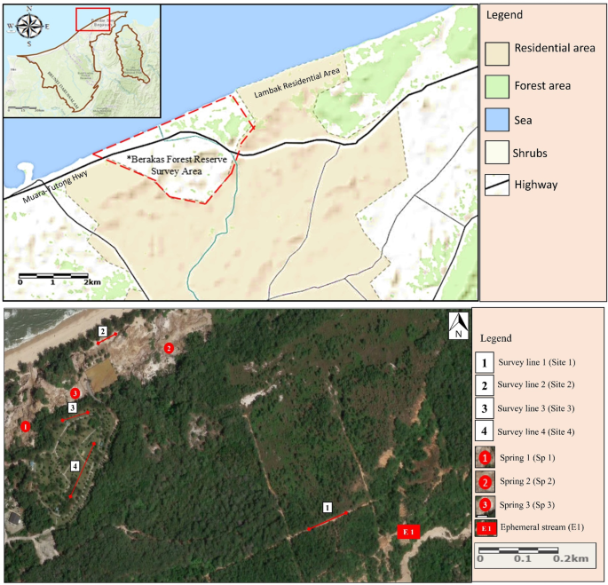Groundwater investigation of a coastal aquifer in Brunei 