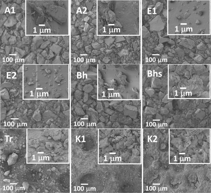 Characterization and distribution of mineral phases in an Amazonian  humiluvic Spodosol profile by XRPD, HR-TEM, SAED and SEM–EDX | SpringerLink