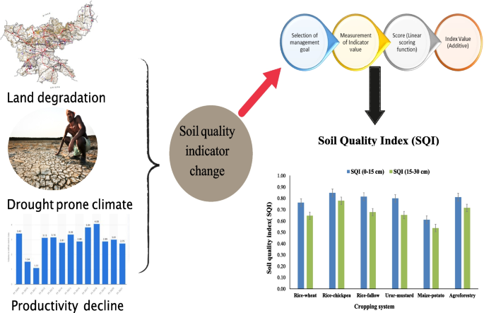 Soil quality in diversified agricultural systems: eastern plateau of ...