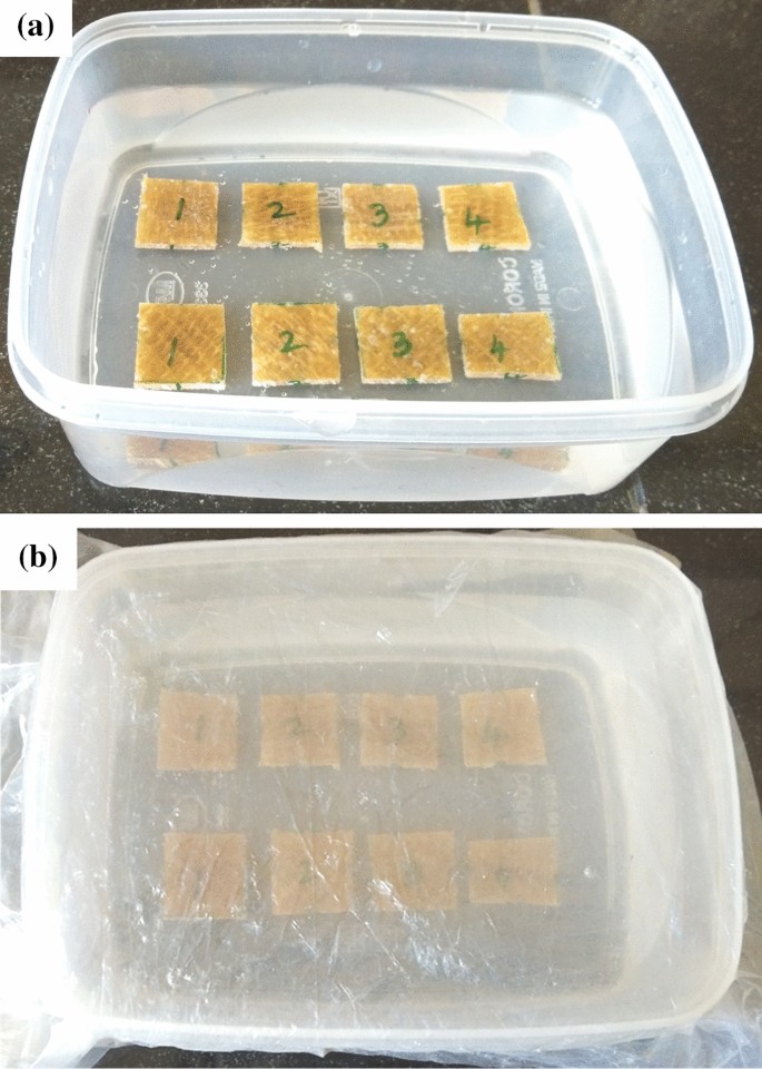 Mechanical and Moisture Absorption Behaviour of Alkali Treated 
