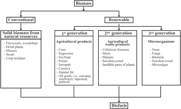 A review on the current status and post-pandemic prospects of third-generation  biofuels | SpringerLink