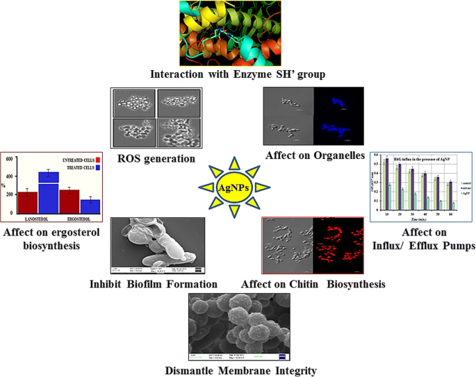 Oligodynamic Effect Of Silver Nanoparticles A Review Springerlink Oligodynamic Effect Of Silver Nanoparticles A Review Springerlink