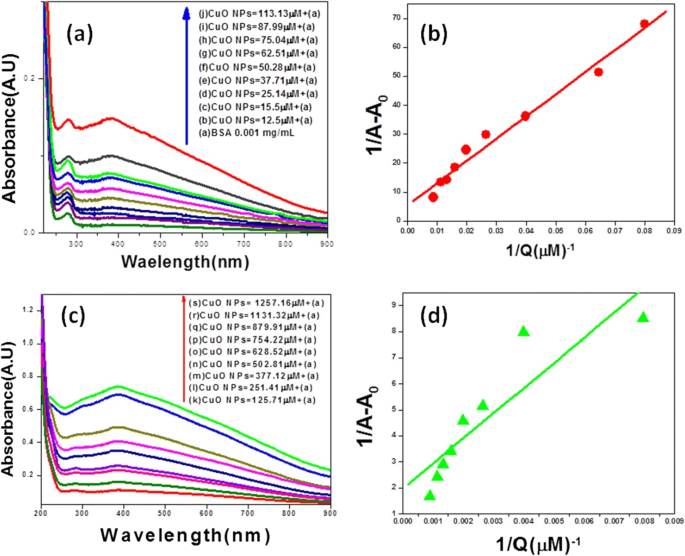 Cuo Nanoparticle Protein Bioconjugate Characterization Of Cuo Nanoparticles For The Study Of The Interaction And Dynamic Of Energy Transfer With Bovine Serum Albumin Springerlink Cuo Nanoparticle Protein Bioconjugate Characterization Of Cuo Nanoparticles For The Study Of The Interaction And Dynamic Of Energy Transfer With Bovine Serum Albumin Springerlink