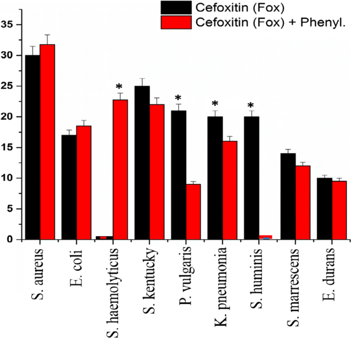 Synergistic And Antagonistic Effects Of Phenylalanine And Various Antibiotics On The Growth Of Pathogenic Bacteria Springerlink