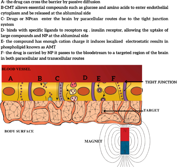 dr esther glutathione review The Esther Formula Liposome Glutathione Direct Ultra X fits perfectly into  real, busy mornings easy, convenient, and intentional inner-beauty care., I  also love that Esther Formula offers different