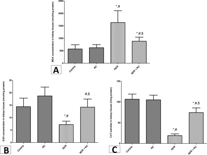 korfactor glutathione Ameliorative Effect of Trevo Dietary Supplement Against Lead Acetate  Nephrotoxicity