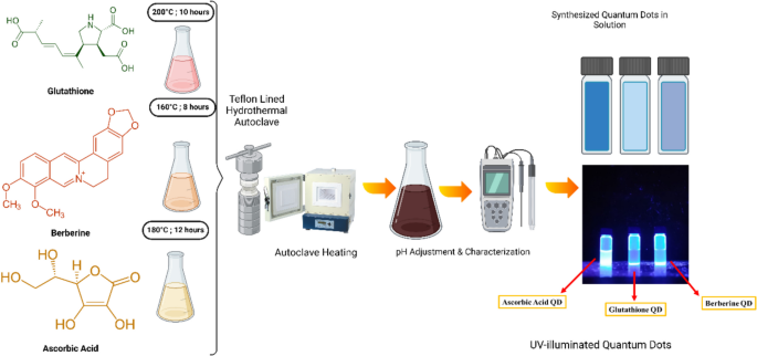 Harnessing Biomedical Applications of Ascorbic Acid, Berberine, and Glutathione-Capped Quantum Dots Through Multifunctional Physico-chemical, Biochemical, and Anti-microbial Assays | BioNanoScience | Springer Nature Link Harnessing Biomedical Applications of Ascorbic Acid, Berberine, and Glutathione-Capped Quantum Dots Through Multifunctional Physico-chemical, Biochemical, and Anti-microbial Assays | BioNanoScience | Springer Nature Link
