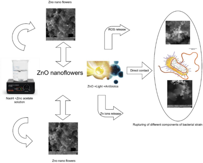ZnO Nanoflowers as Photosensitive Materials for Antibacterial ...