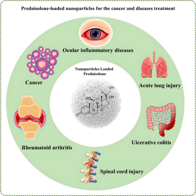 Multifunctional Nanocarriers for Prednisolone Delivery: A New Frontier in  Cancer and Inflammation Therapy | BioNanoScience