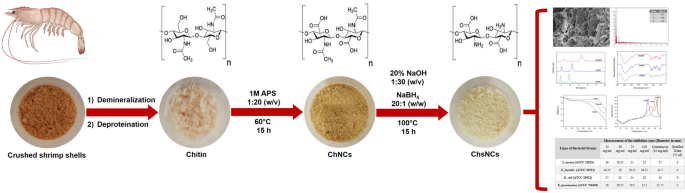 Synthesis and Characterization of Carboxylated Chitosan Nanocrystals ...